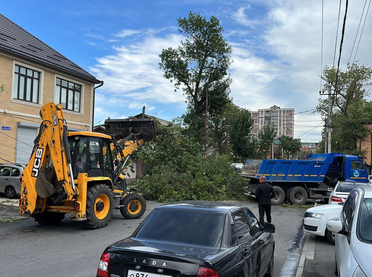 ❗️ В городе большое количество поваленных ветром деревьев. — фото 1