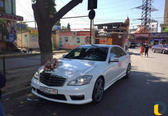 221 AMG В прокат