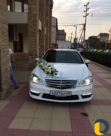 221 AMG В прокат