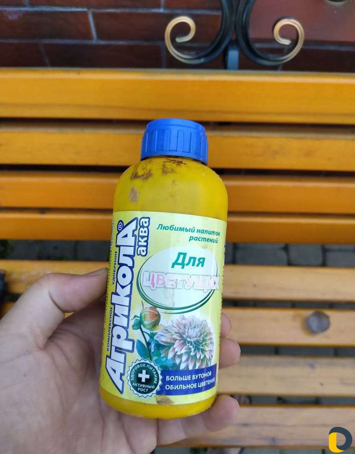 Агроном