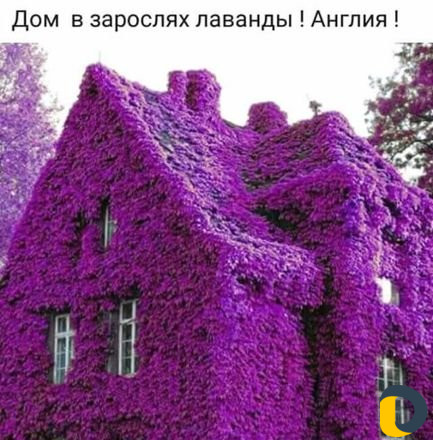 Английский язые
