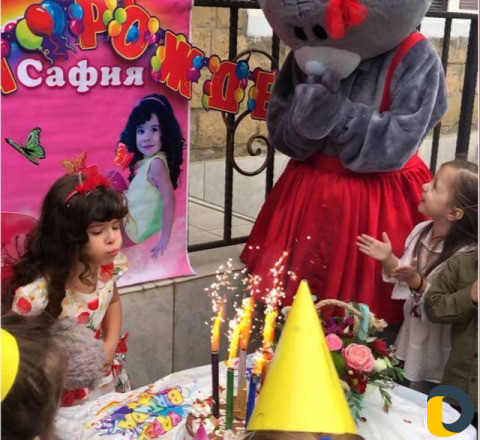 Аниматор на праздники