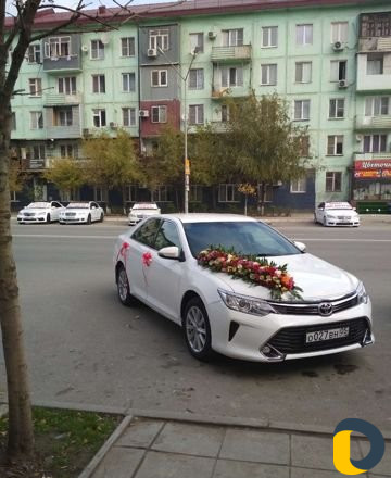 Аренда авто с водителем