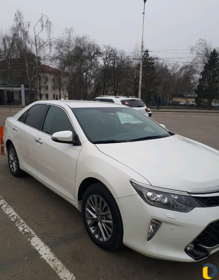 Аренда авто с водителем