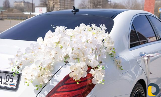 Аренда авто