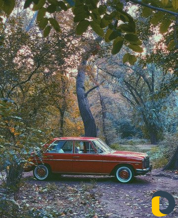 Аренда авто