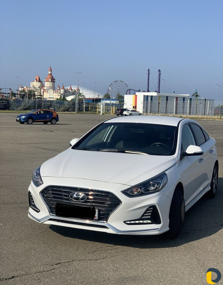 Аренда и прокат Optima,Sonata