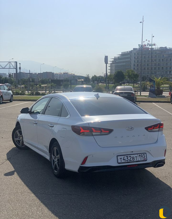Аренда и прокат Optima,Sonata