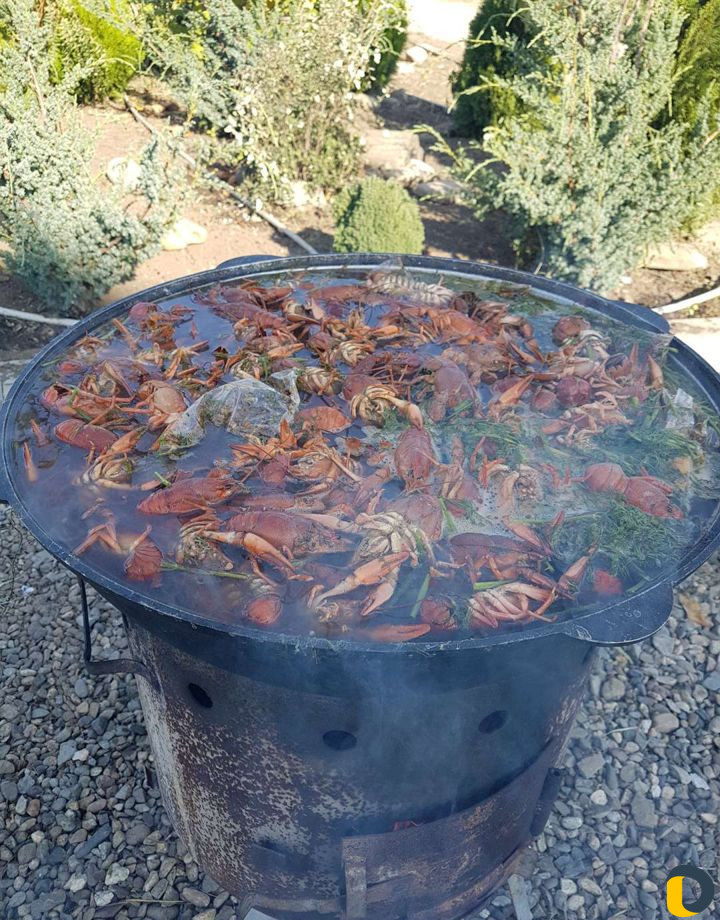 Аренда Коттеджей с бассейнами. Беседки. Банкетный