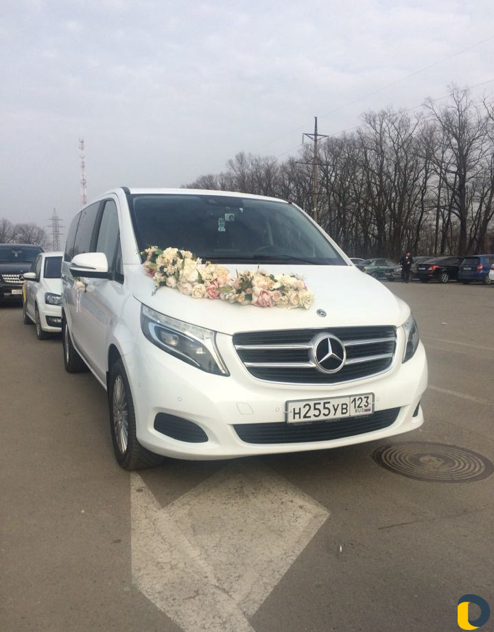Аренда микроавтобуса Mercedes, трансфер, свадьбы