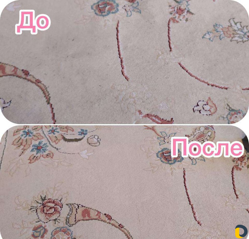 Аренда моющего пылесоса karcher puzzi 10/1. Аренда