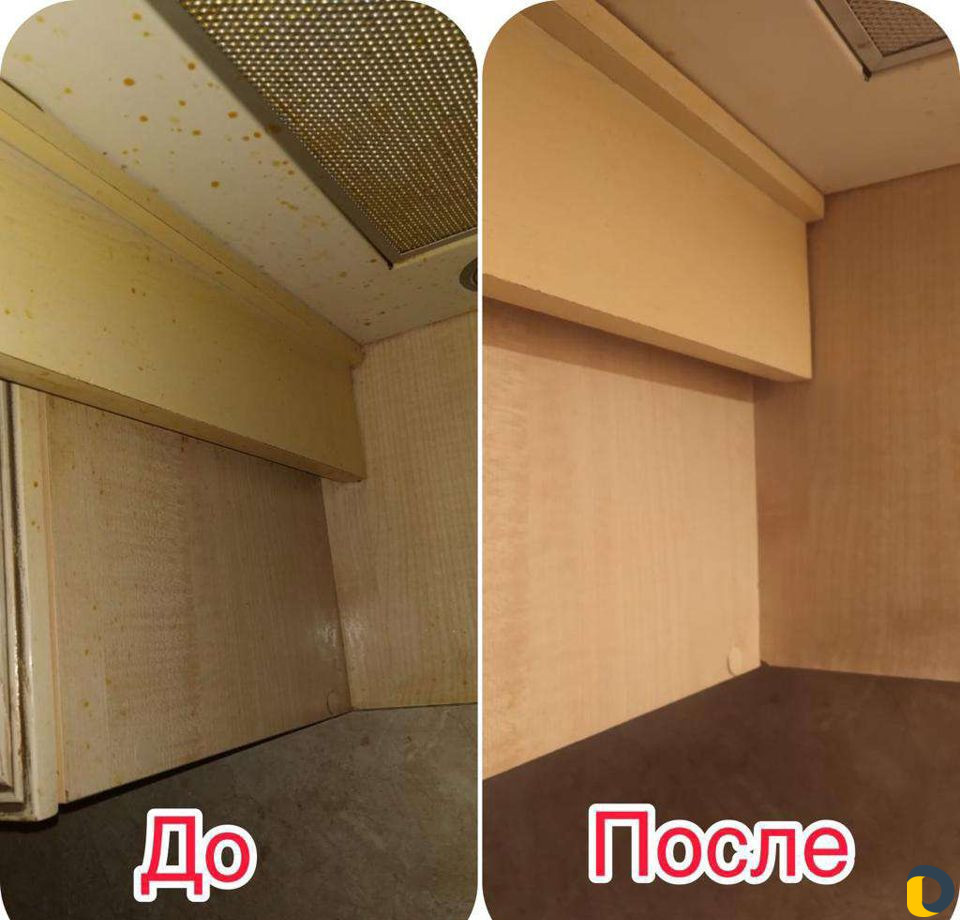 Аренда моющего пылесоса karcher puzzi 10/1. Аренда