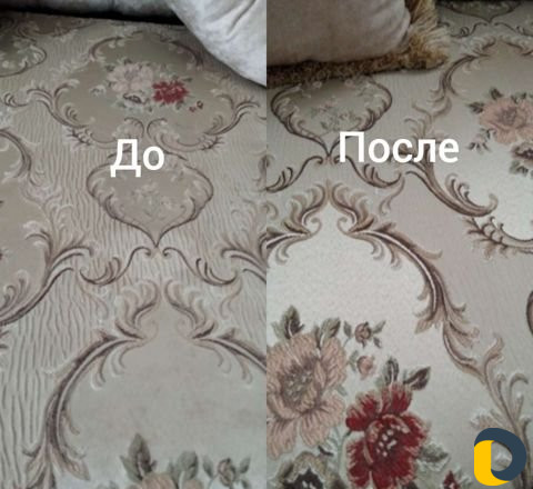 Аренда моющего пылесоса karcher