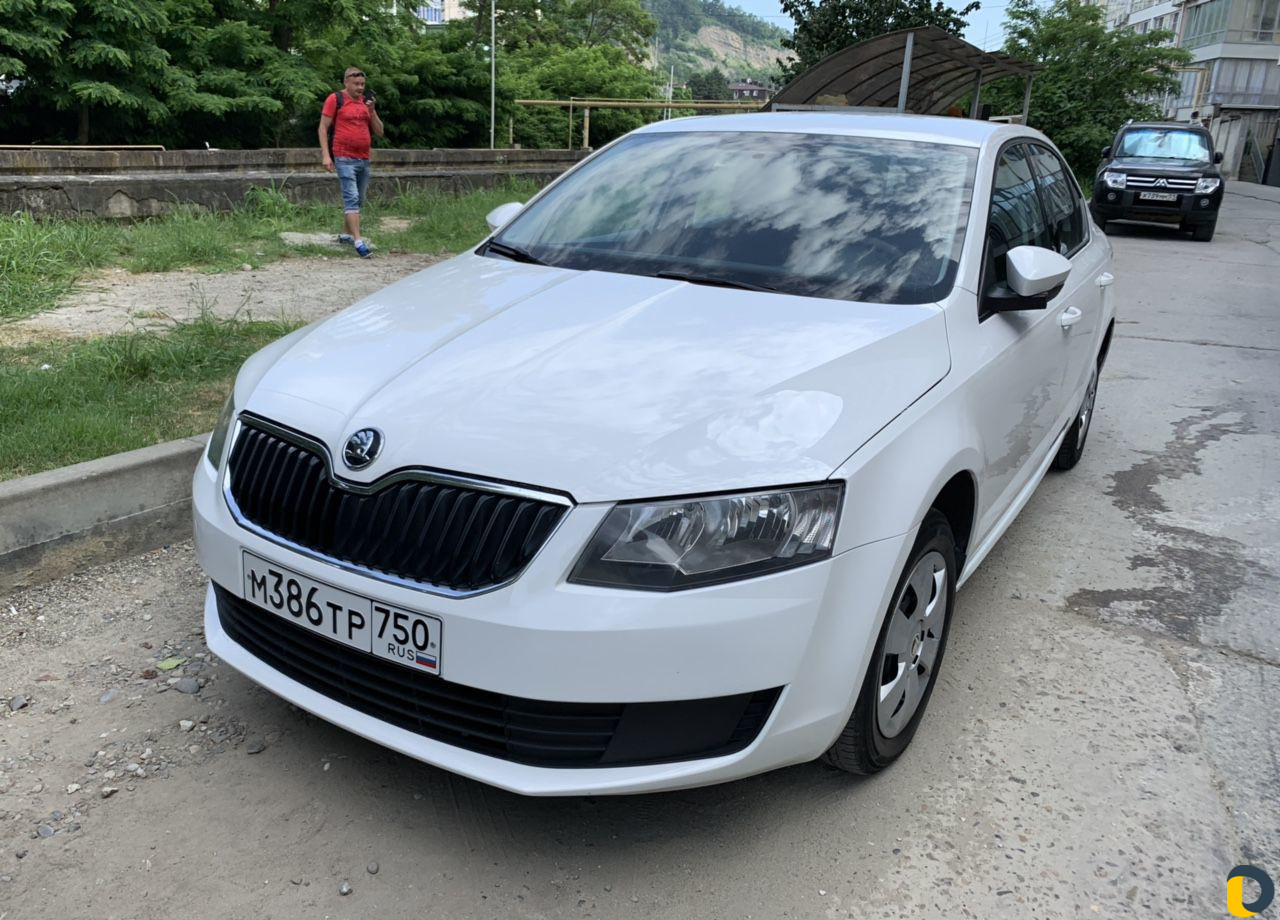 Аренда прокат Skoda Octavia