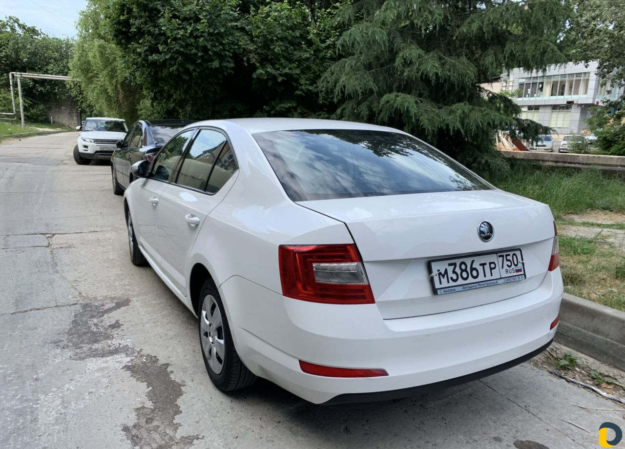 Аренда прокат Skoda Octavia