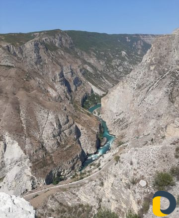 Аренда с водителем