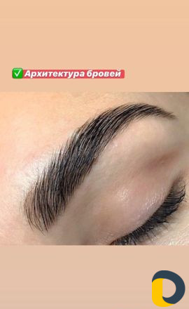 Архитектура бровей