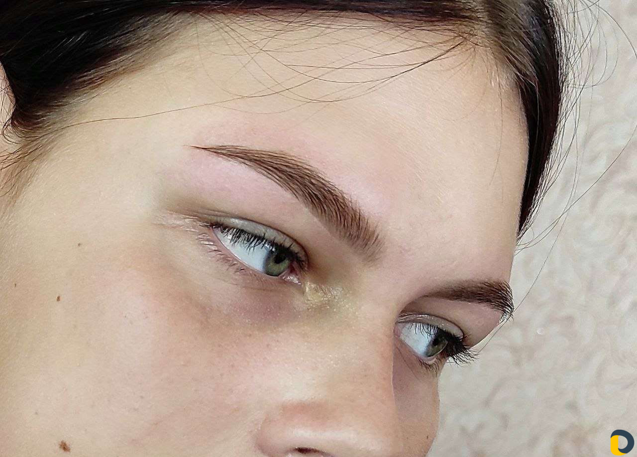 Архитектура бровей