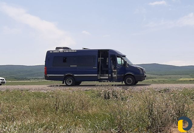 Авто на заказ