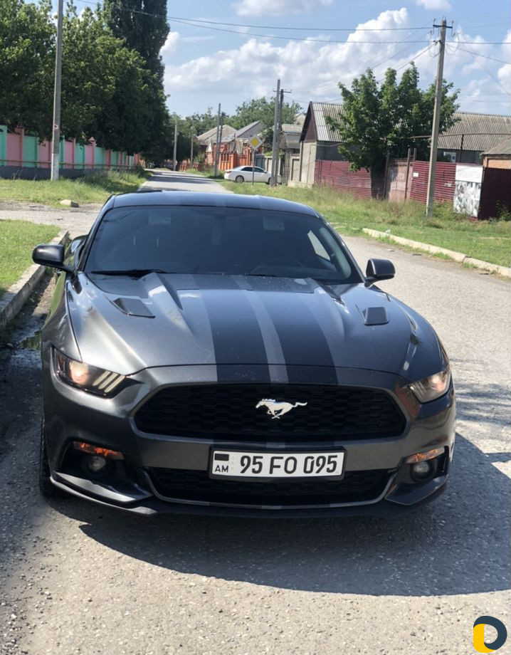Авто прокат avtoham