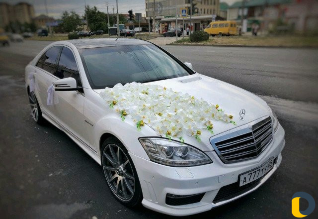 Авто прокат Мерседеса