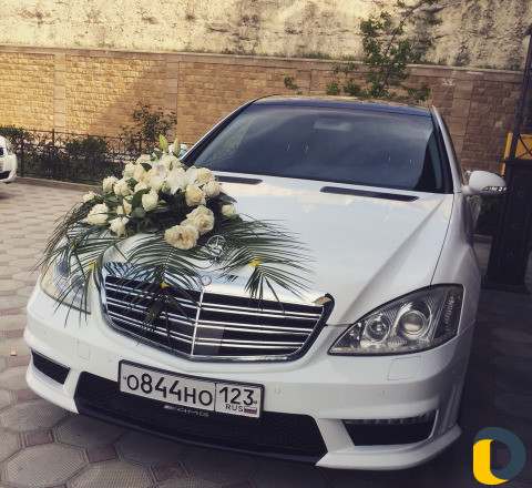 Авто прокат