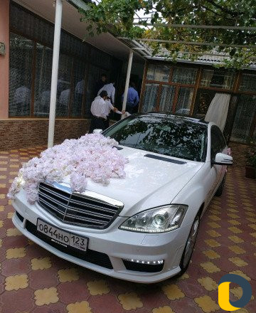 Авто прокат