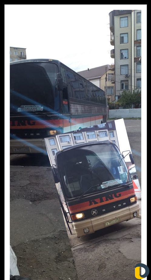 Автобус для экскурсий и поездок