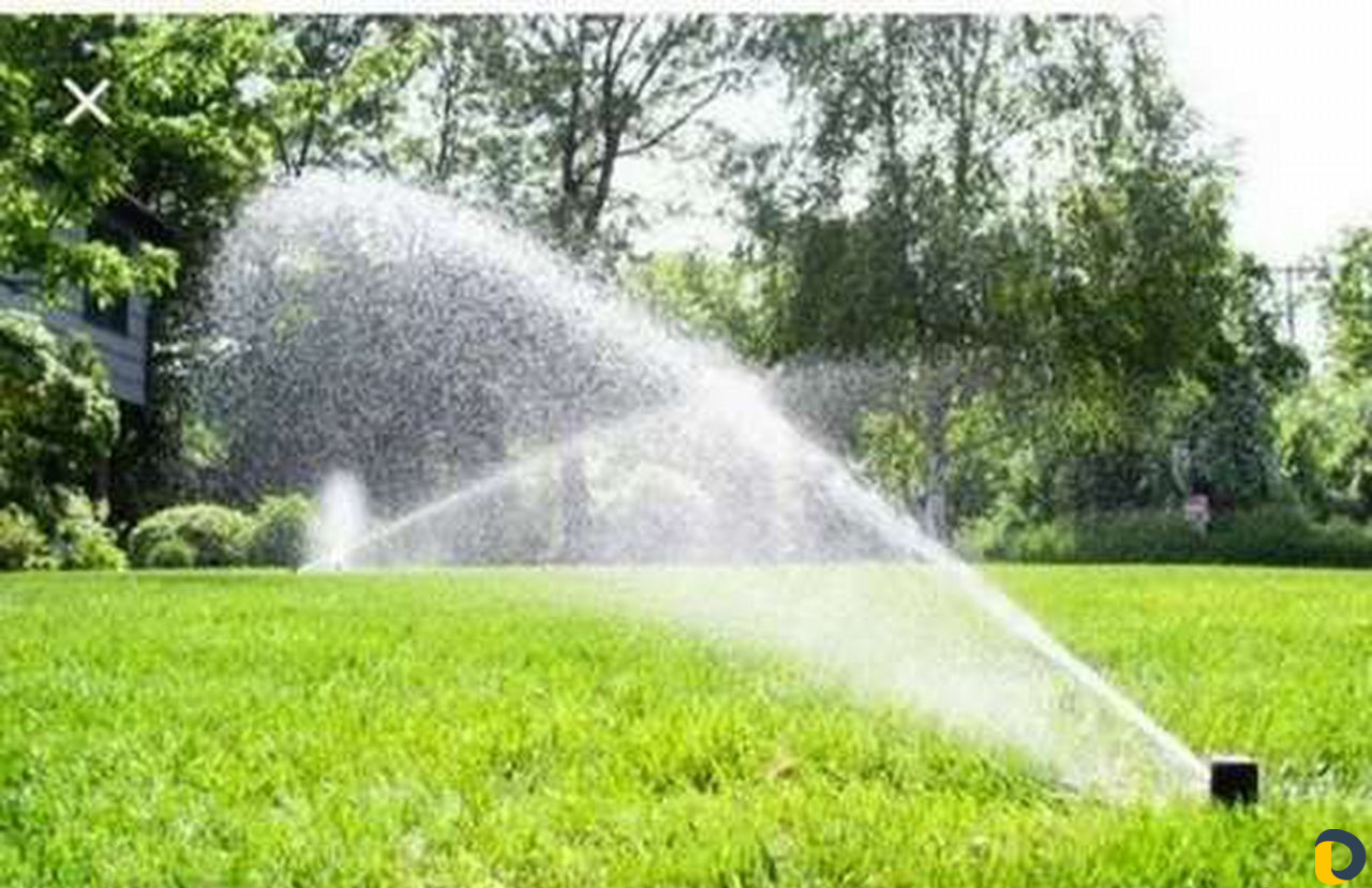 Автополив газона