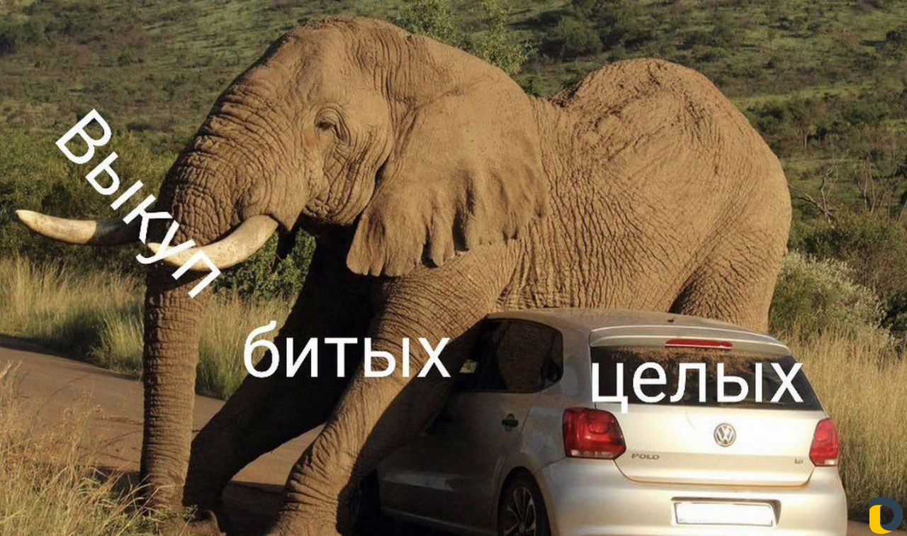 Автовыкуп/целые/битые авто /любое состояние
