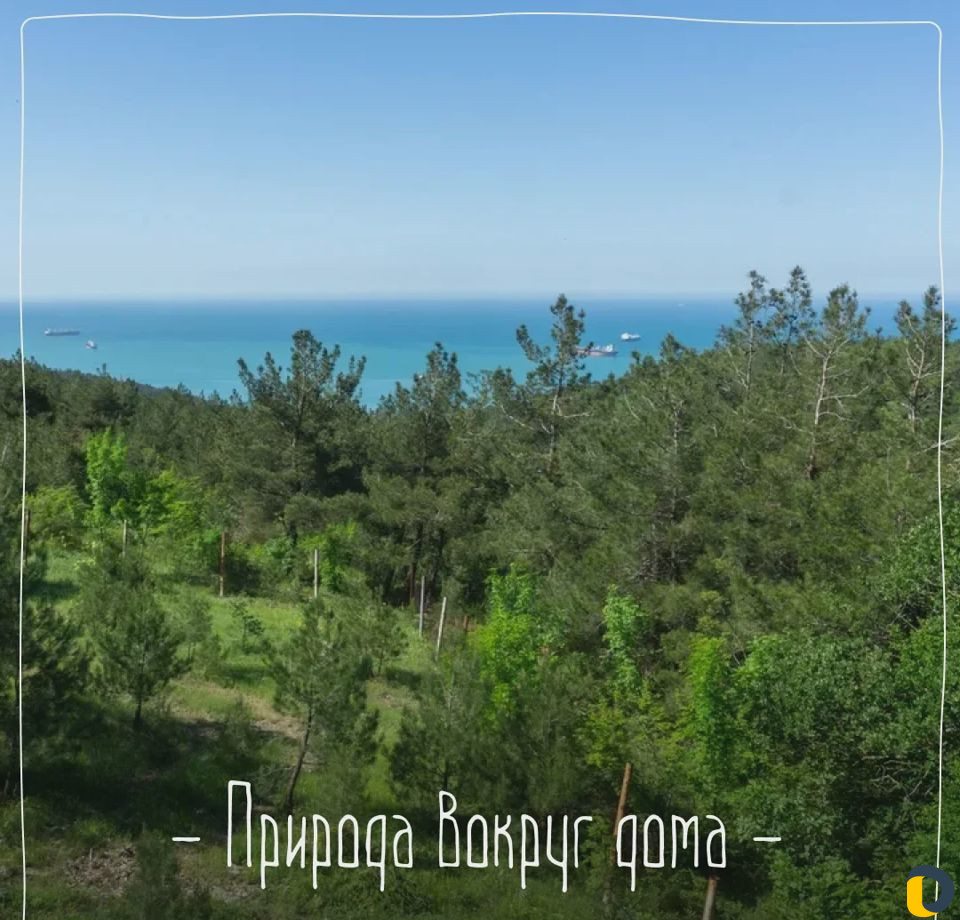 Баня с бассейном, банные церемонии, спа процедуры