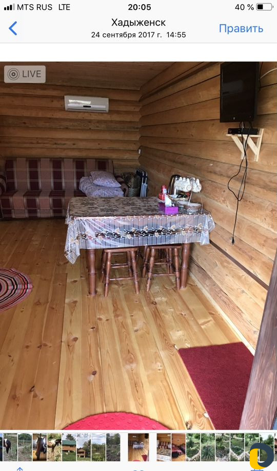 База отдыха Прокат лошадей