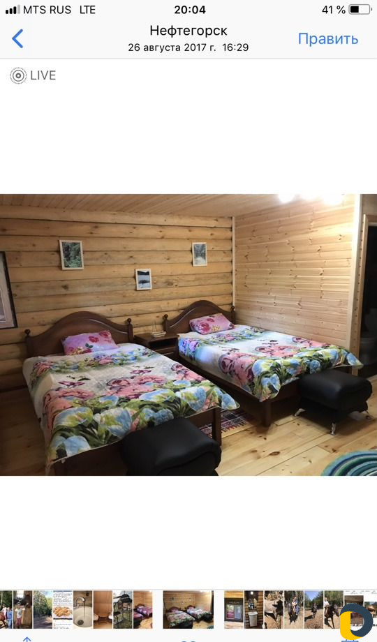 База отдыха Прокат лошадей
