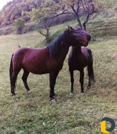 Беру в аренду