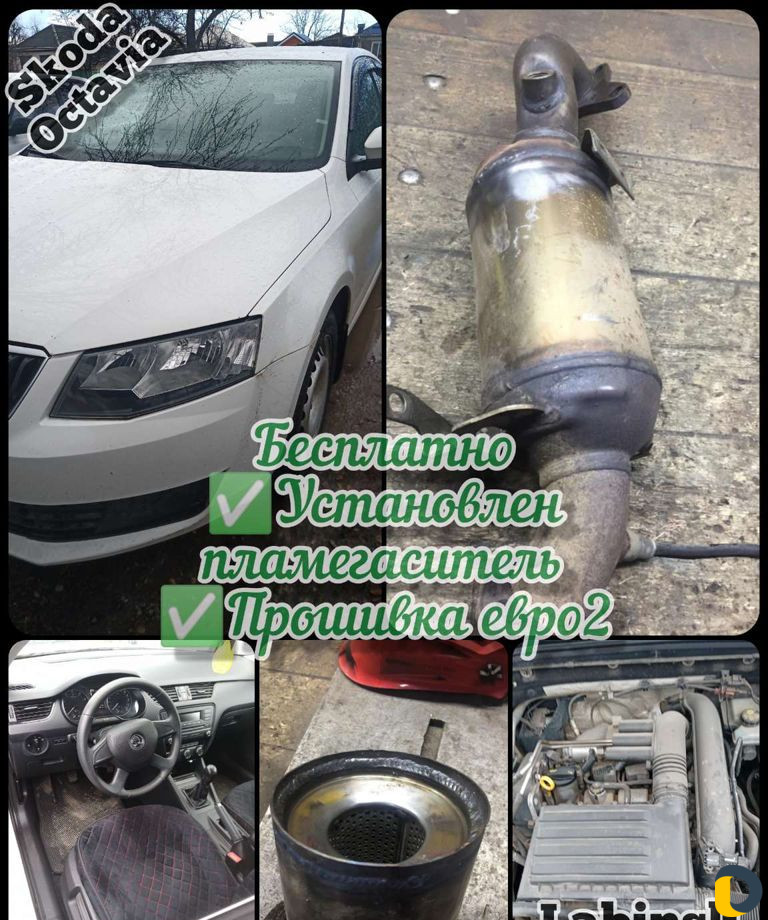 Бесплатное удаление катализатора