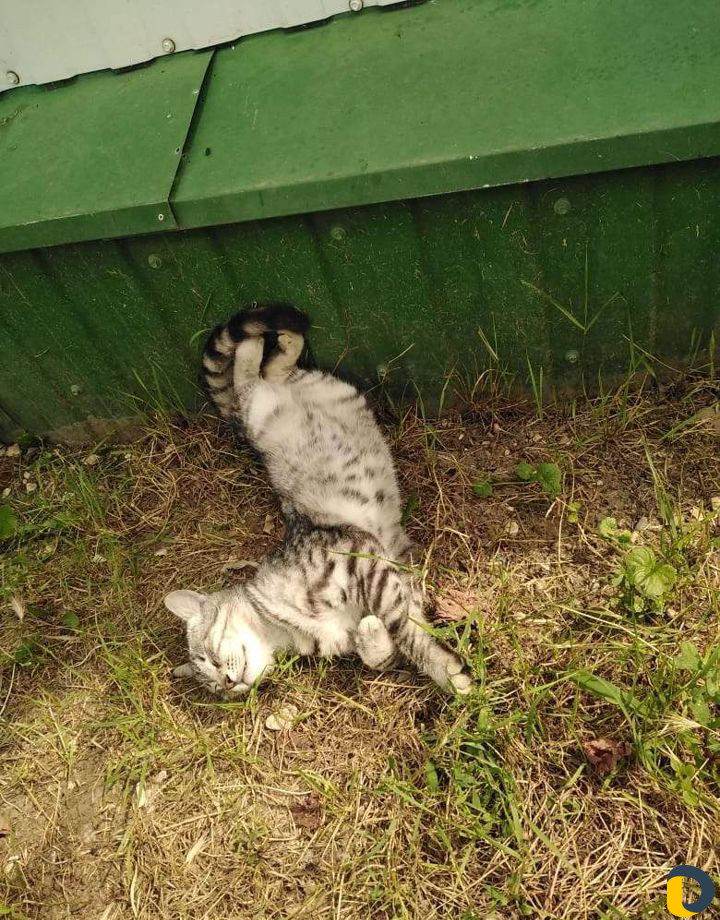 Бетонные работы