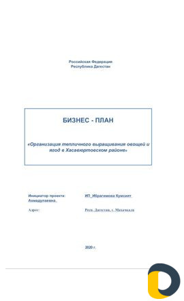 Бизнес-план, привлечение Инвестиций Махачкала