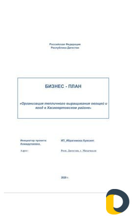 Бизнес-план, субсидии Махачкала