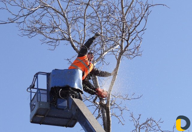 Благоустройство садов, дач, огородов