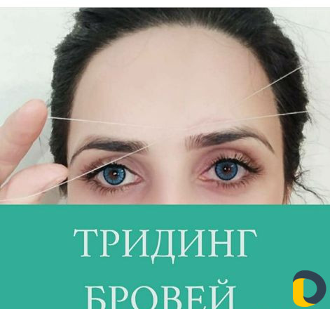 Бровист