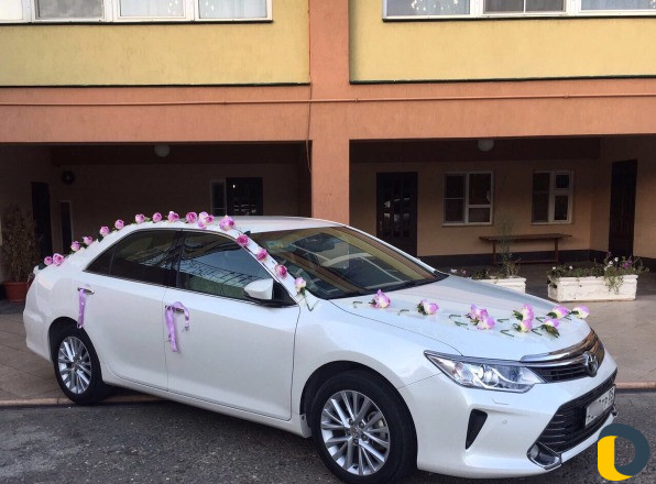 Camry V55 на Свадьбу