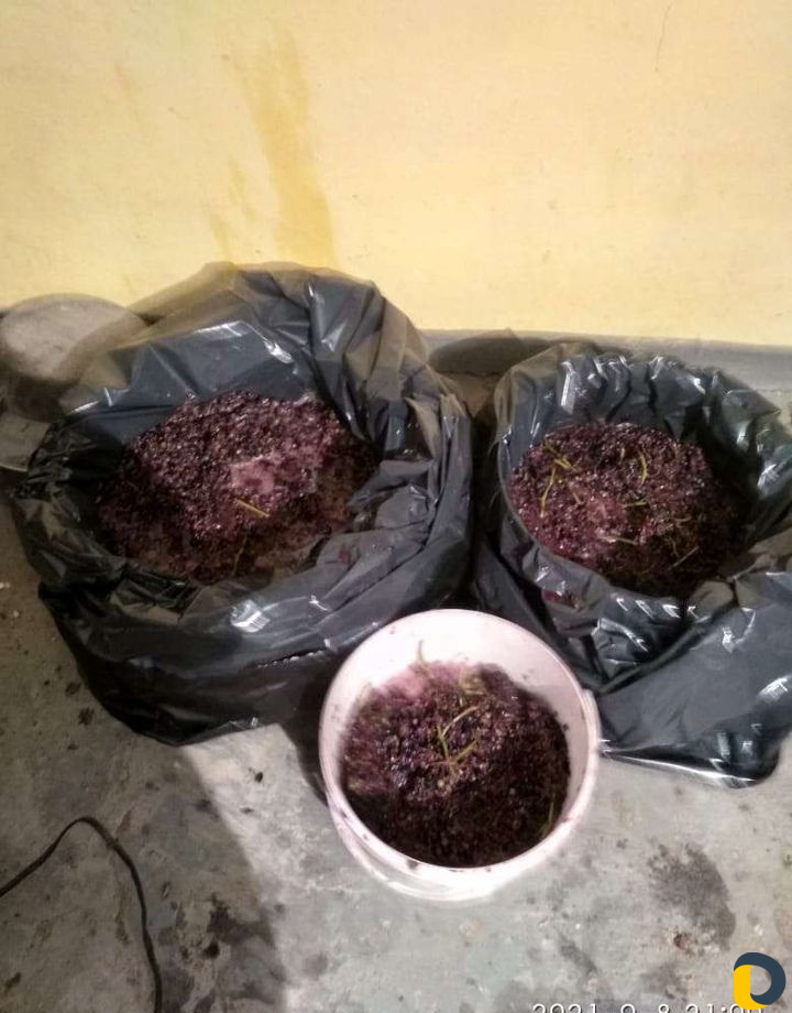 Чебуки винограда