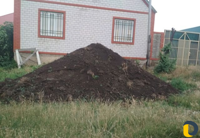Чёрназем лесной