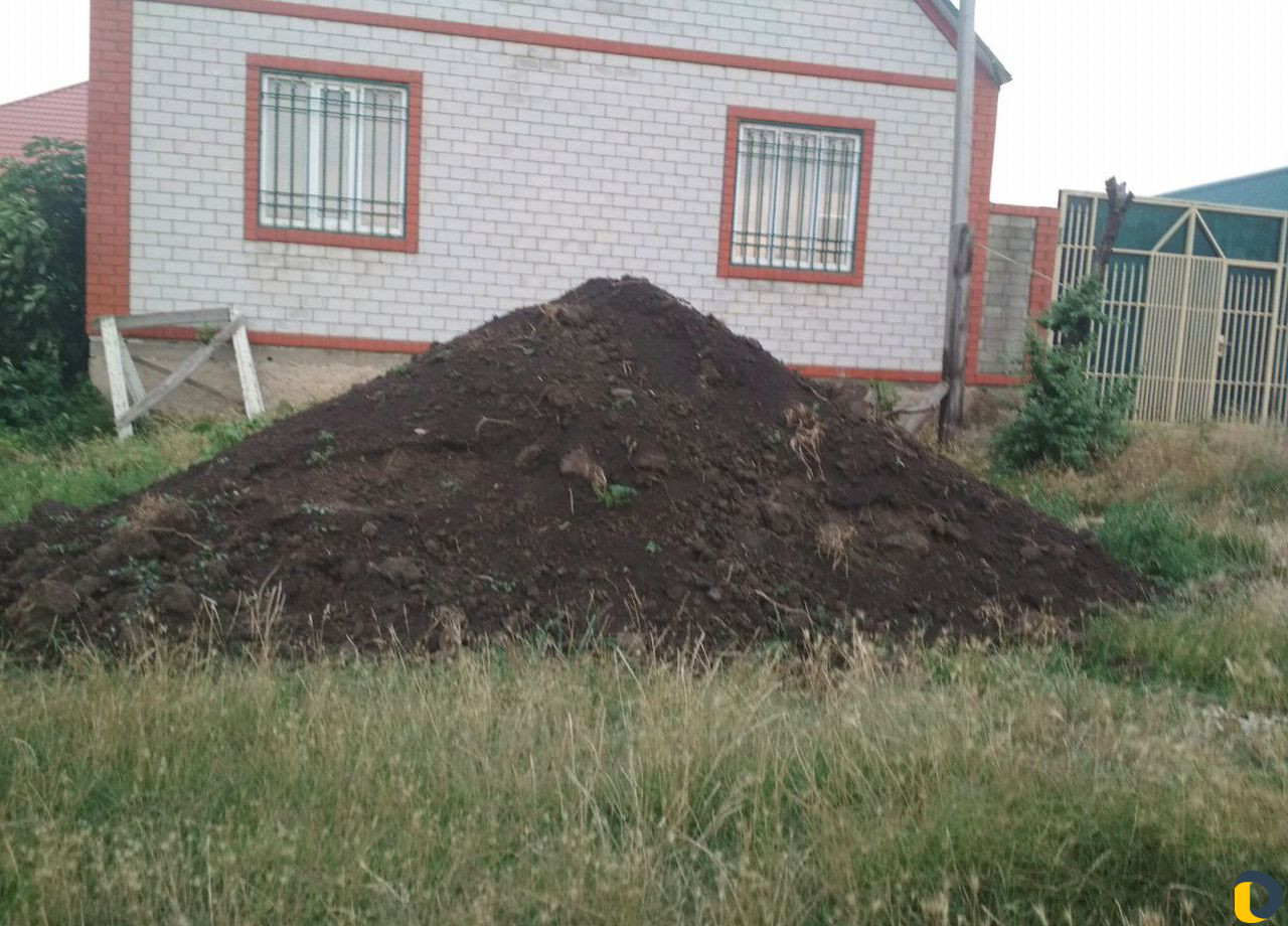 Чернозем лесной