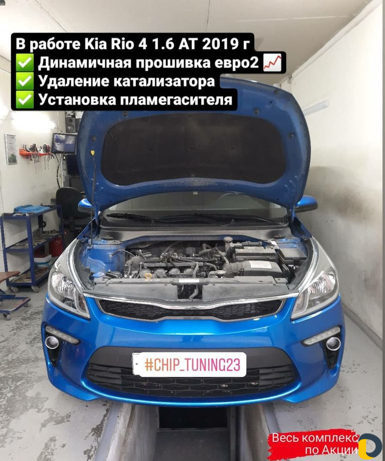 Чип тюнинг (прошивка), Удаление катализатора