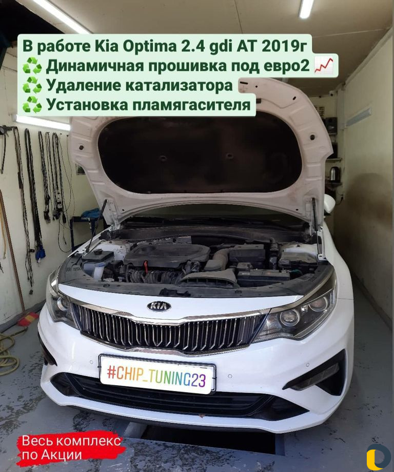 Чип тюнинг (прошивка), Удаление катализатора