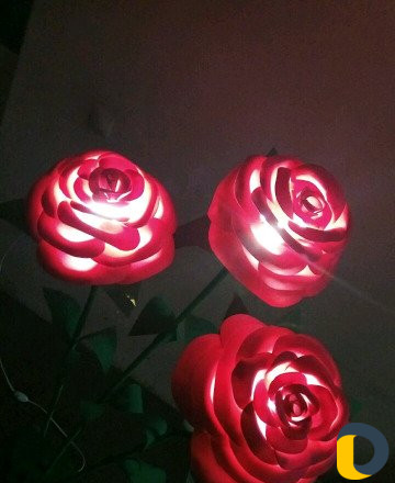 Цветы гиганты