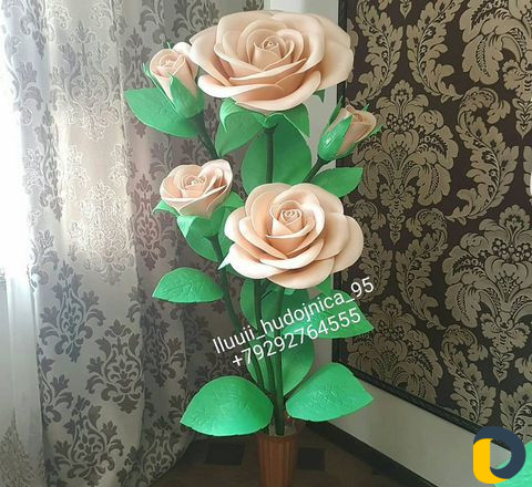 Цветы