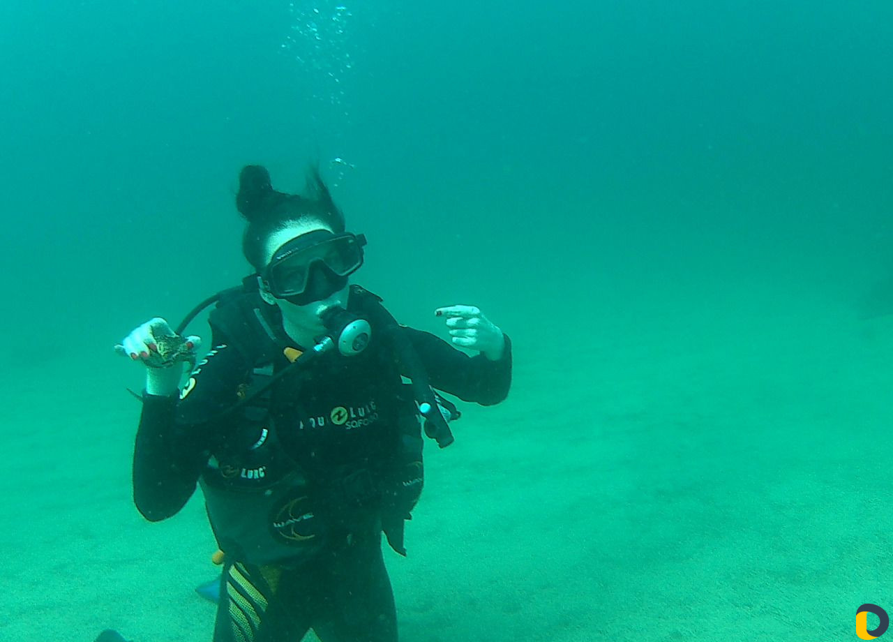 Дайвинг Туризм Отдых Спорт Курорты Курсы Обучение