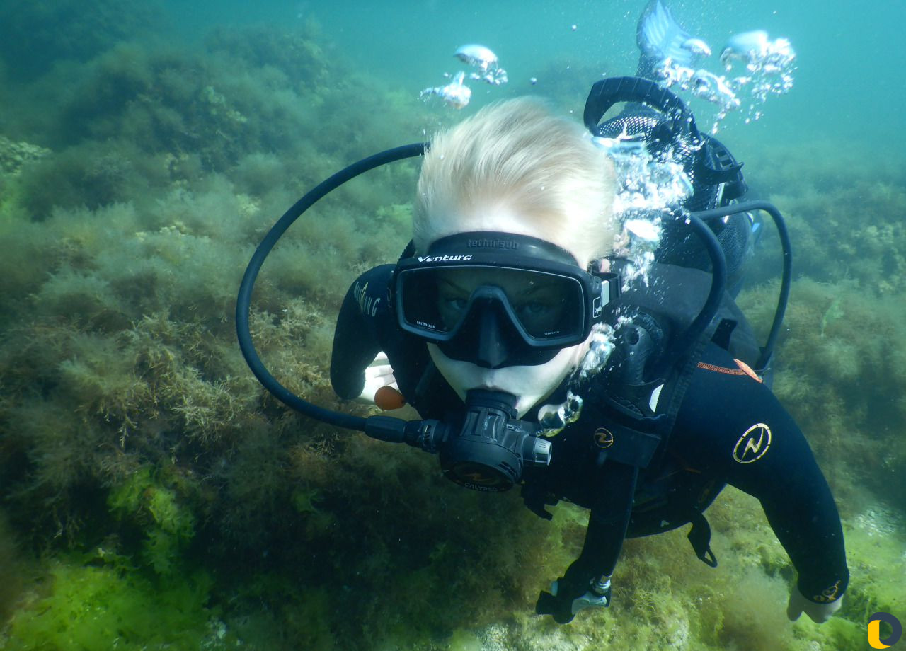 Дайвинг Туризм Отдых Спорт Курорты Курсы Обучение